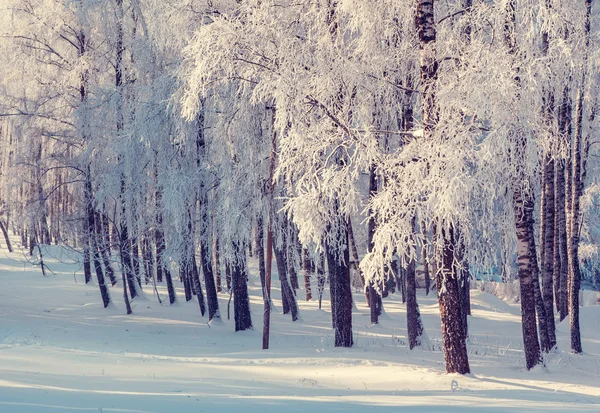 Fantastico paesaggio invernale. — Foto Stock