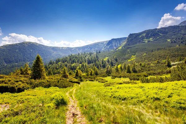 Sunny day is in mountain landscape. — Stock Photo, Image