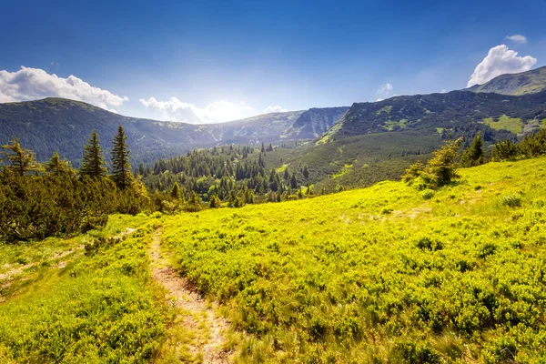 Güneşli bir günde dağ manzarası — Stok fotoğraf