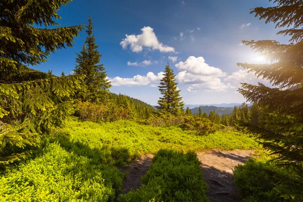 Solig dag i bergslandskap — Stockfoto