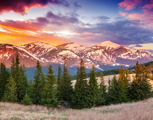 Mañana montaña paisaje — Foto de Stock