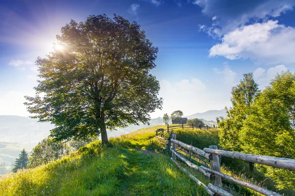 El día soleado está en el paisaje de montaña . — Foto de Stock