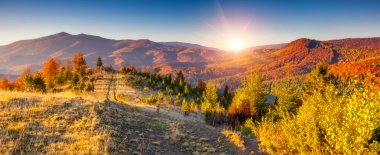 Görkemli renkli manzara