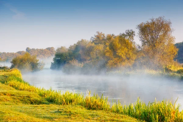 Fantastic foggy river — Stock Photo, Image