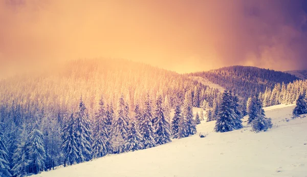 Fantastico paesaggio invernale — Foto Stock