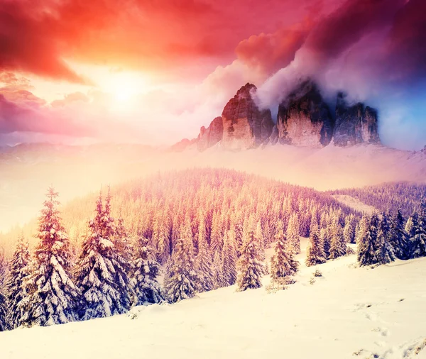 Fantastisch winterlandschap — Stockfoto