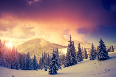 Kış akşam manzarası