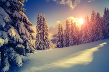 Fantastic winter evening landscap