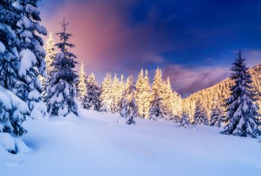 Harika manzara parlak güneş ışığı tarafından.