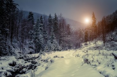 Harika manzara parlak güneş ışığı tarafından.