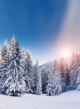Harika manzara parlak güneş ışığı tarafından.