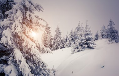 Dramatic wintry scene.