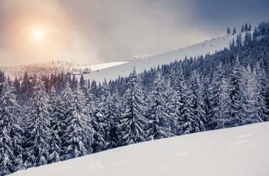 Dramatic wintry scene.