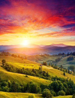Green hills glowing by sunlight