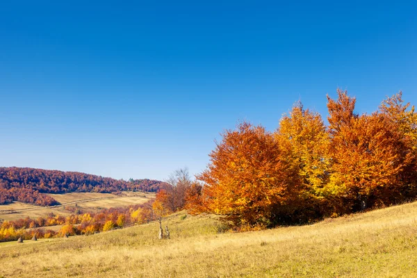 Majestueuze kleurrijk landschap — Stockfoto