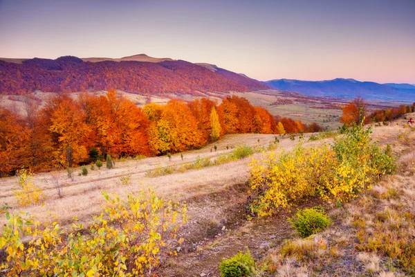 Maestoso paesaggio variopinto — Foto Stock