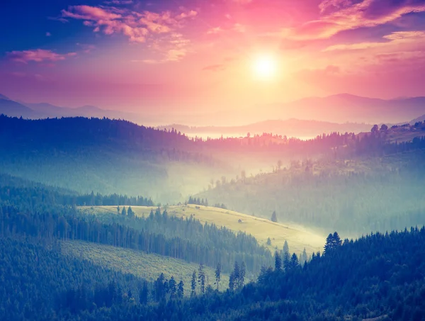 Fantastyczne słoneczne wzgórza świecące przez światło słoneczne — Zdjęcie stockowe