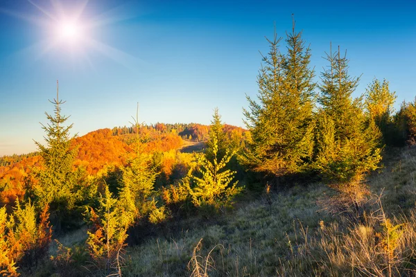 Majestueuze kleurrijk landschap — Stockfoto