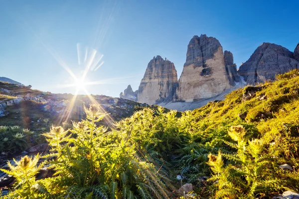 Sunny view of the National Park Tre Cime di Lavaredo — Stock Photo, Image