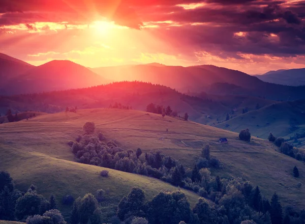 Sunny hills glowing by sunlight — Stok fotoğraf