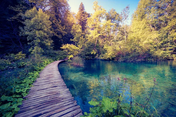 View on lake with turquoise water and sunny beams — Fotografia de Stock