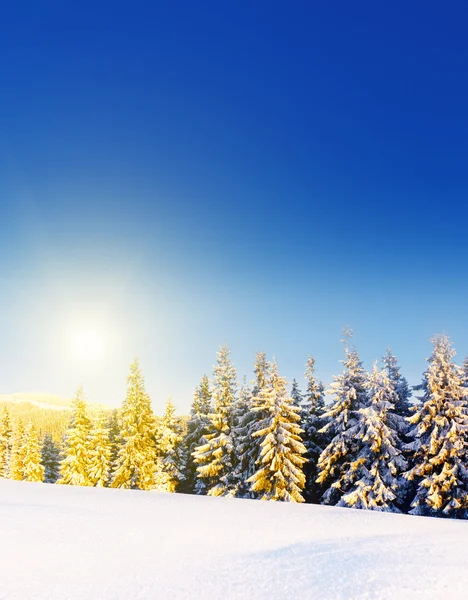 Фантастичний зимовий пейзаж — стокове фото