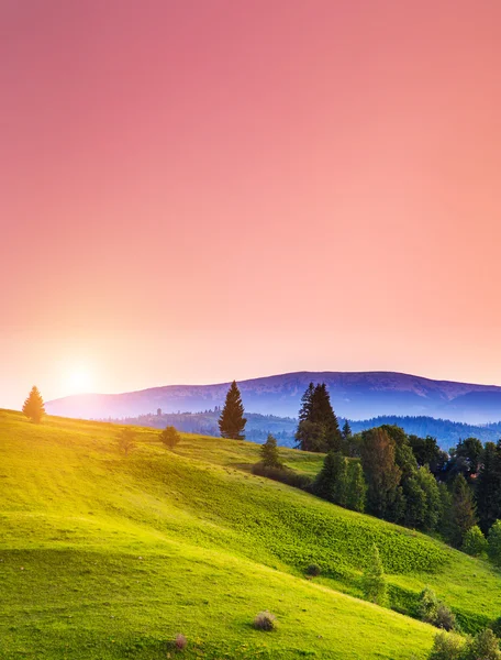 Sunny hills glowing by sunlight. — Stock Photo, Image