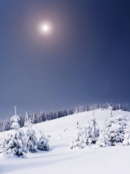 Fantástico paisaje de invierno —  Fotos de Stock