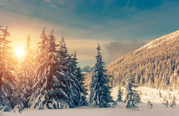 Fantástica paisagem brilhando por luz solar. — Fotografia de Stock