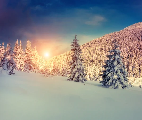 Fantástica paisagem brilhando por luz solar. — Fotografia de Stock