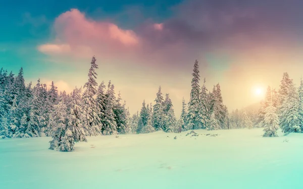 Evening landscape glowing by sunlight