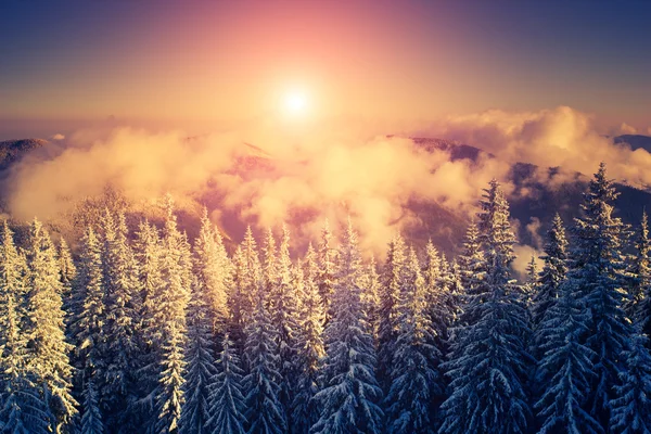 Paesaggio di sera fantastico — Foto Stock