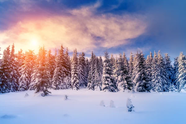 Paesaggio di sera fantastico — Foto Stock