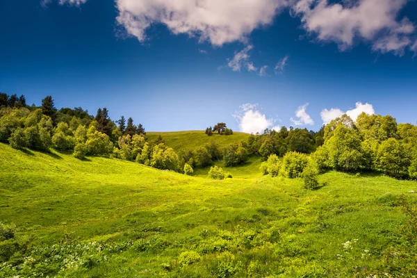 Blick auf ländliche Alpenlandschaft. — Stockfoto