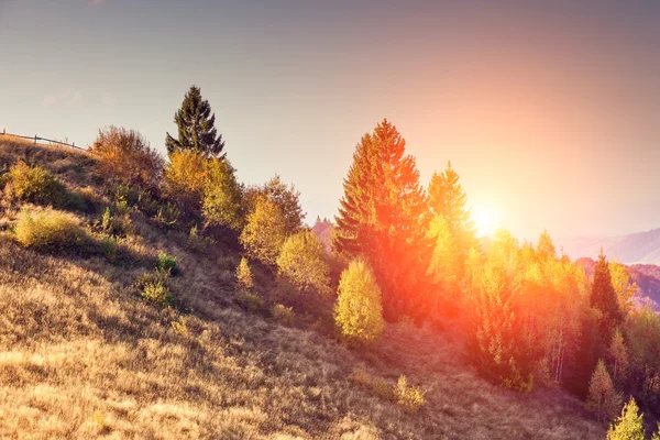 Majestuoso paisaje colorido — Foto de Stock