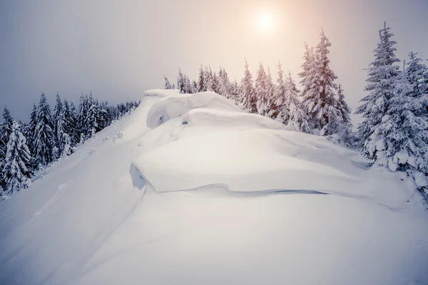 Fantastiska landskap glödande av solljus. — Stockfoto