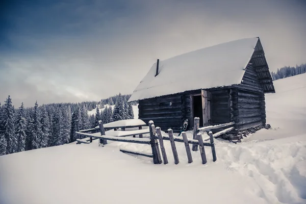 Dramatic wintry scene. — Zdjęcie stockowe