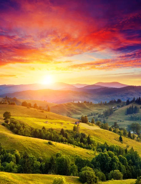 Green hills glowing by sunlight — Stock Photo, Image