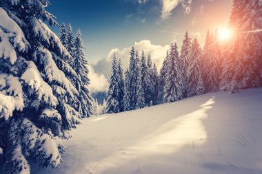 Harika manzara parlak güneş ışığı tarafından.