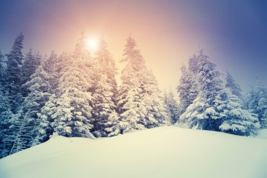 Harika akşam dağ manzarası