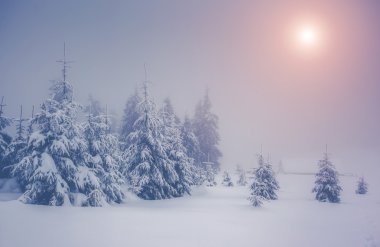 Harika akşam dağ manzarası
