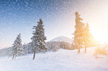 Harika bir dağ manzarası