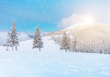 Harika bir dağ manzarası