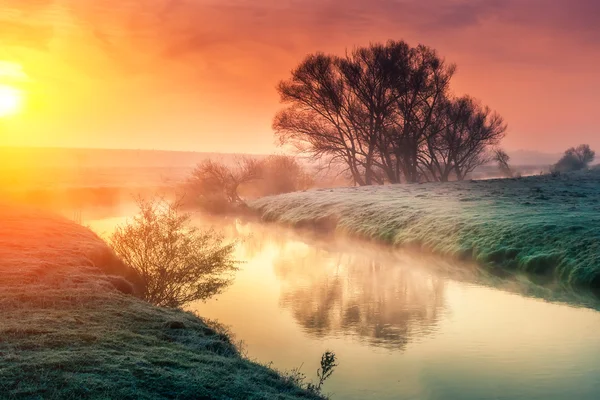 Foggy river with fresh green grass — Stockfoto