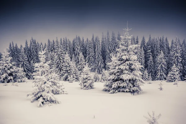 Paesaggio di sera fantastico — Foto Stock