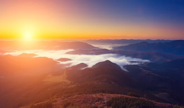 Beautiful foggy hills — Stok fotoğraf