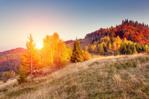 Majestätiska färgstarka landskap — Stockfoto