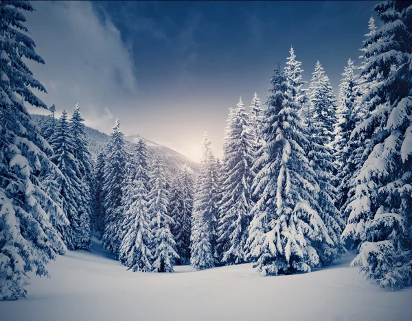 Fantástico paisaje iluminado por la luz solar. — Foto de Stock