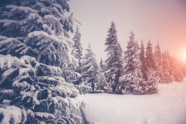 Fantastisk kväll bergslandskap — Stockfoto