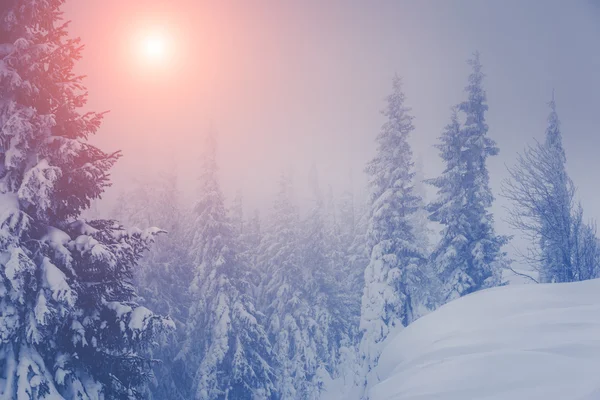 Majestätische Winterlandschaft — Stockfoto